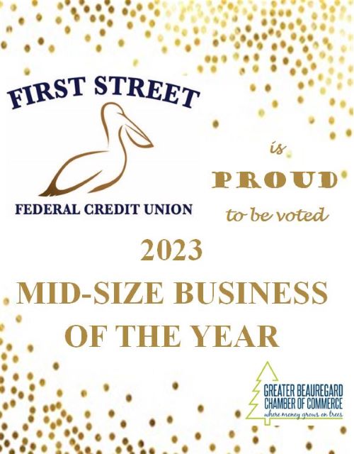 MID-SIZE BUSINESS OF THE YEAR